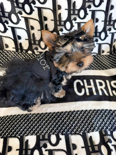 DD Crystal Tutu Posh Dress