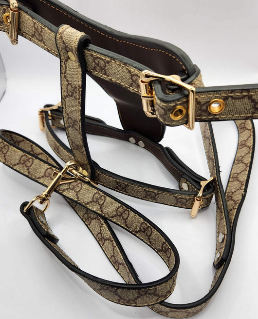 GG Hero Classic Harness& Leash Layered Set