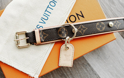 Amelia Dog Collar & Backspin Leash