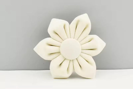 Velvet Cream Luxe Hot Set