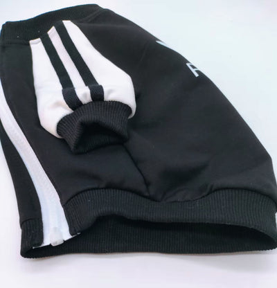 PP Falcon Schnauzer Zip Up Tactile Coat