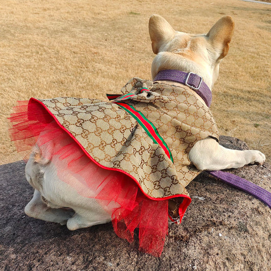 Vestido de verano de lujo GG