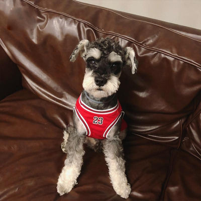 Jersey clásico para perros Legends n.° 23