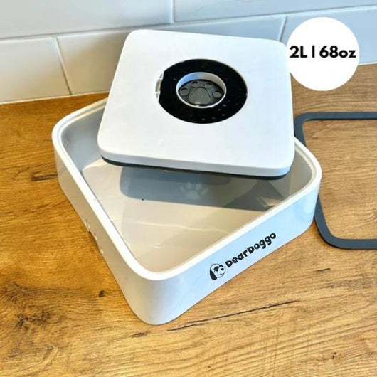 Dear Doggo Anti Splash Safe Dog Sleek Bowl