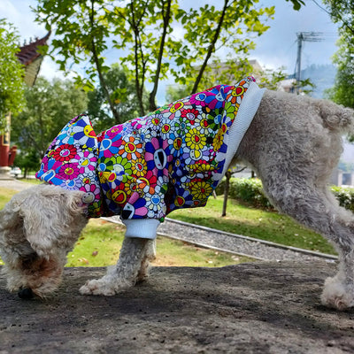 Luxury Sun Flower Drip Vibrant Hoodie