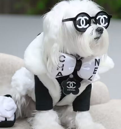 CC Bow Neck Vibrant Piece