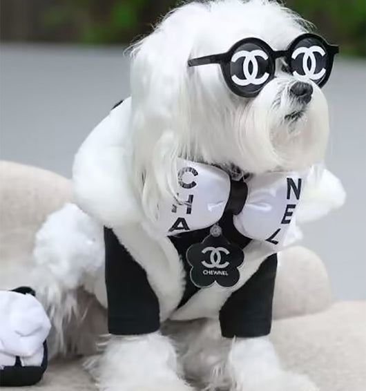 CC Bow Neck Vibrant Piece