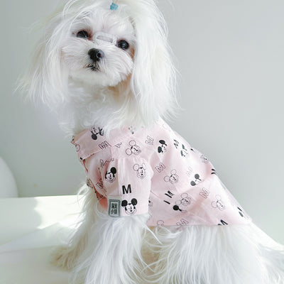 Big Dog Sweet Summer Shirt