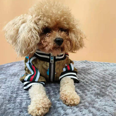 GG Hype Doraemon Juiced Jacket