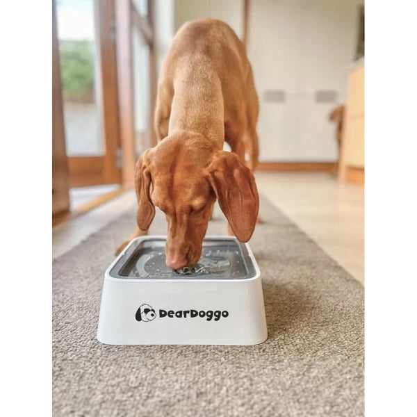 Dear Doggo Anti Splash Safe Dog Bowl