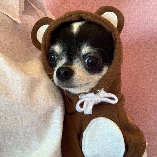 Sweet Grizzly Bear piece Vibrant Set