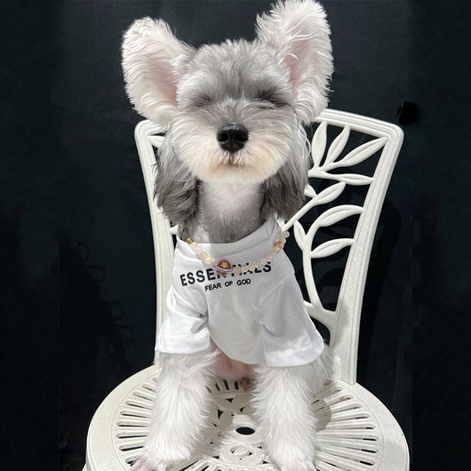 Pet Dog Lo-fi Clothes