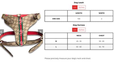 GG Hero Classic Harness& Leash Layered Set