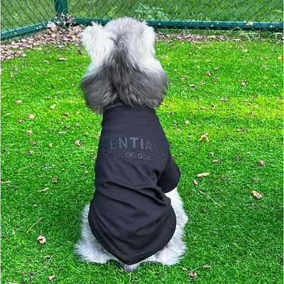 Pet Dog Lo-fi Clothes