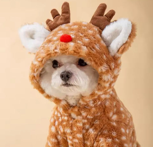 Reindeer Onyx Sweater