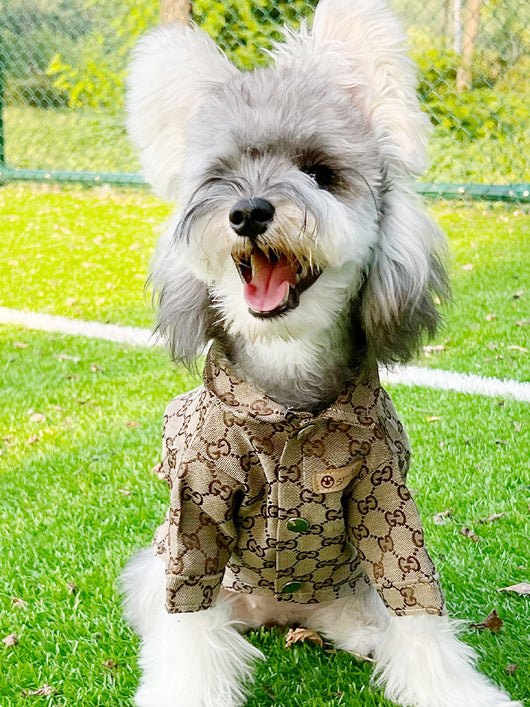 Big Dog GG Chill Shirt