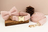 Teddy Bow Collar And Leash Vintage Set