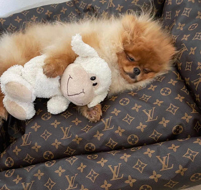 LV Essentials Dog Redux Bed