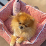 🛏️ GG nora Wavy Bed