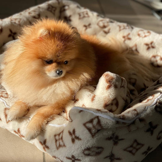 LV Cozy Dog Dope Bed