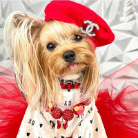 CC Doggo Stylish Banger Cap