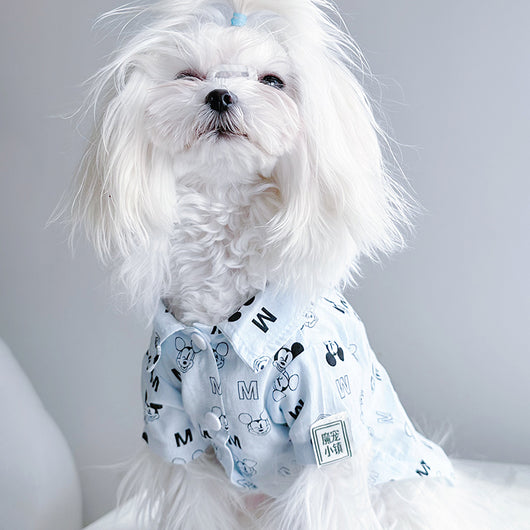 Big Dog Happy Summer Breeze Shirt