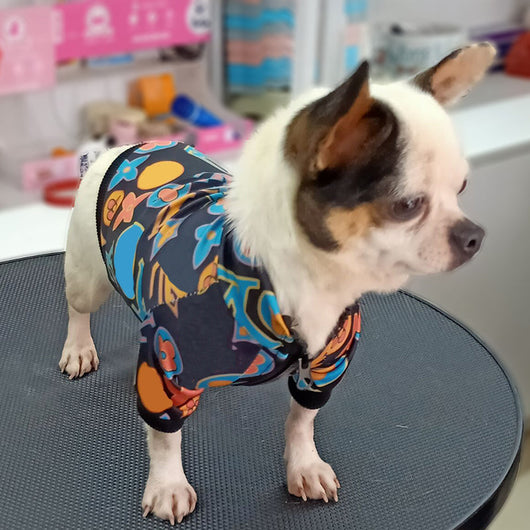 Lux Doggo Viral Jacket