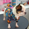 🧥 Fly Pup Jacket