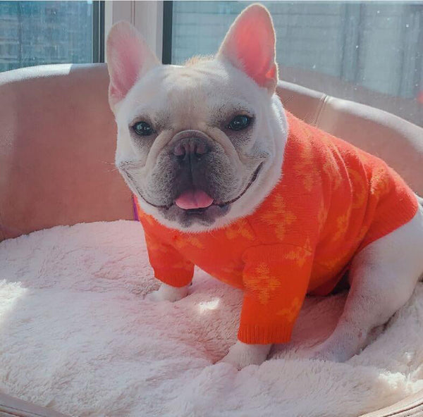 Hype Drip Boss Whimsical Sweater