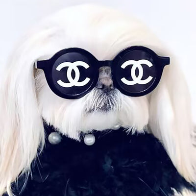 Runway Canine Couture: CC Logo DD Sunglasses