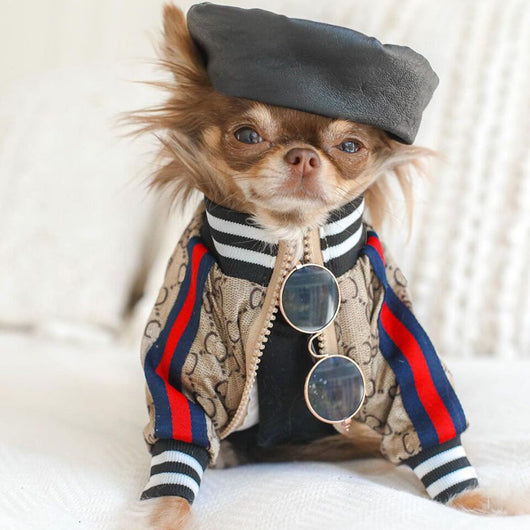 GG Brown Zip Up Bomber Sleek Jacket