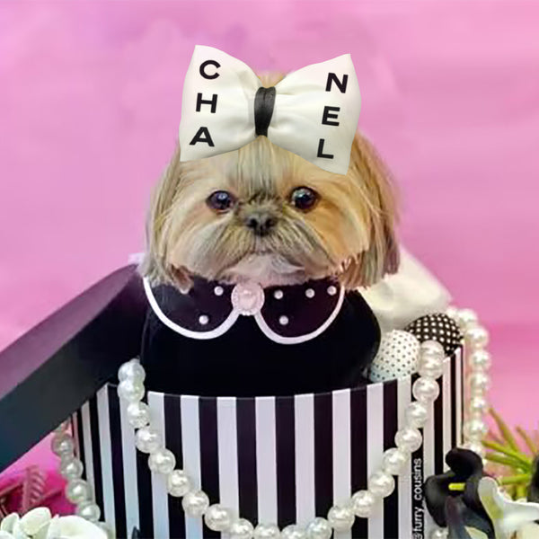 CC Bow Neck Vibrant Piece