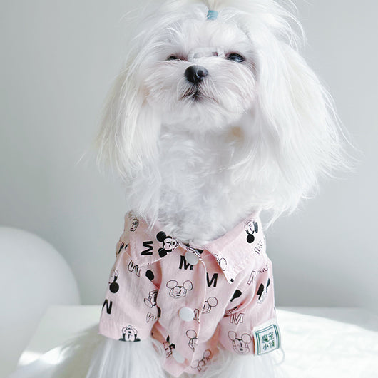 Big Dog Sweet Summer Shirt