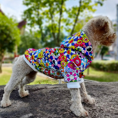 Luxury Sun Flower Drip Vibrant Hoodie