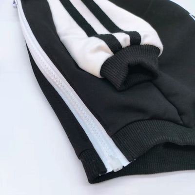 PP Falcon Schnauzer Zip Up Tactile Coat