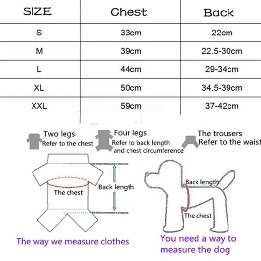 Pomy Bow Lovely Harness