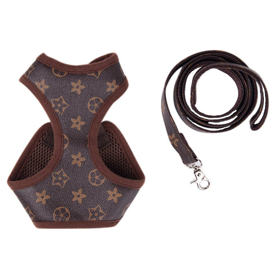 Amarillis Harness And Throwie Leash