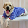 Designer Star Cardigan Sweater For Big Dogs