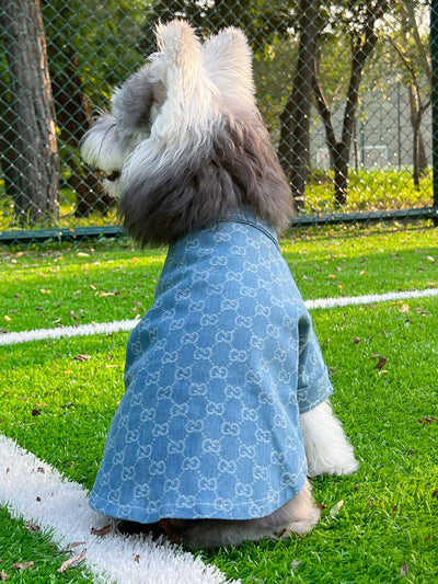 Big Dog GG Cool Summer Vibes Shirt