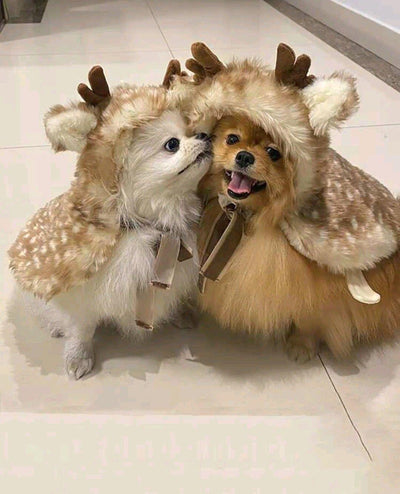 Sweety Reindeer Dope Cape