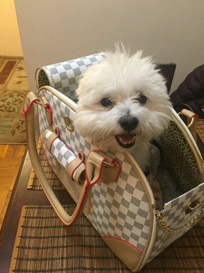 Luxina Carrier Airline Moody Bag