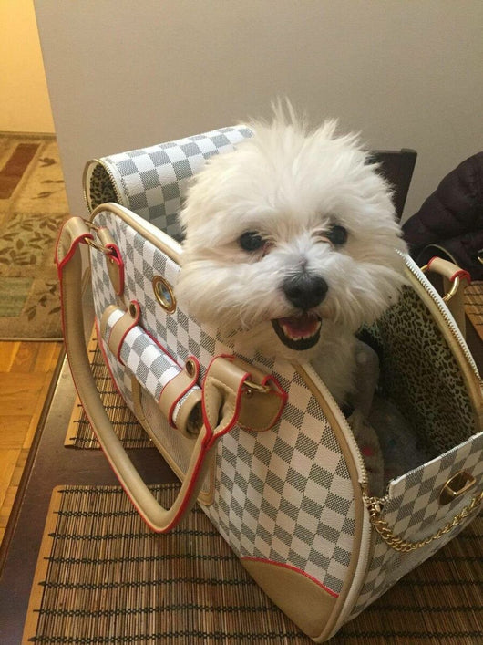 Luxina Carrier Airline Moody Bag