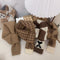 Knitted Brown and Beige Patterned Pet Scarf