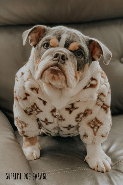 LV Warm Tactile Vest