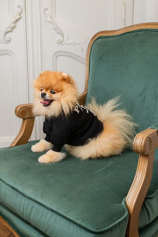 Prada Classic Sleek Sweater