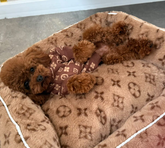 LV Soft Dog Adorable Bed