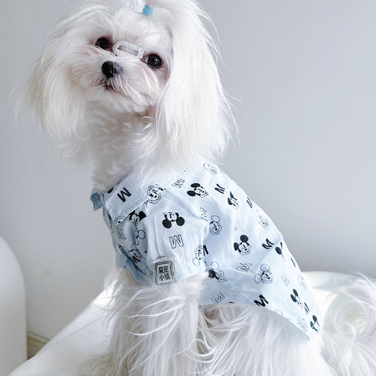 Big Dog Happy Summer Breeze Shirt