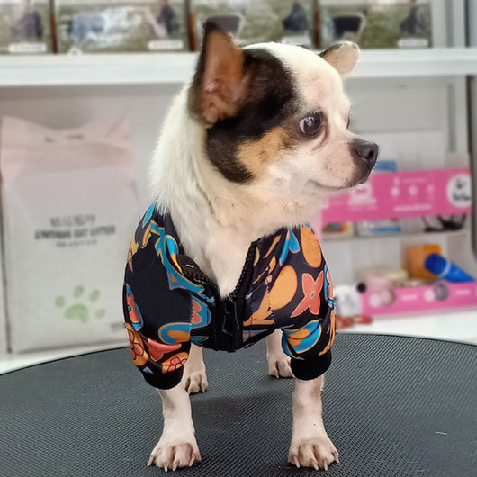 Lux Doggo Viral Jacket