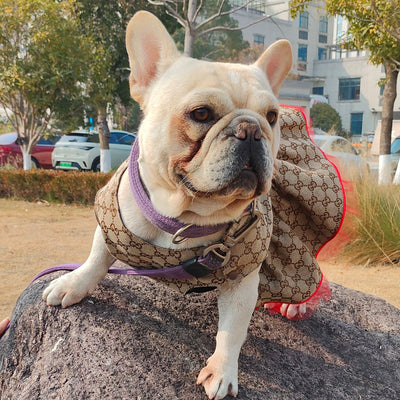 Vestido de verano de lujo GG