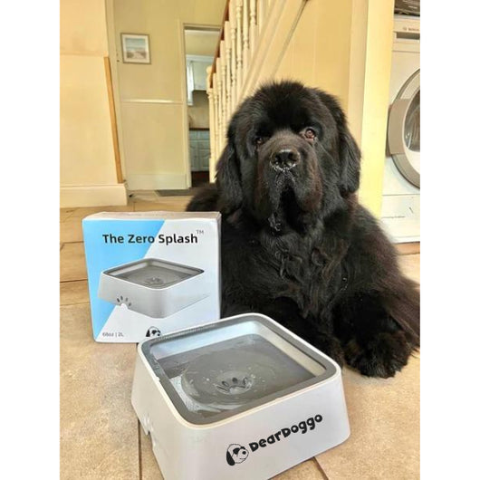 Dear Doggo Anti Splash Safe Dog Sleek Bowl